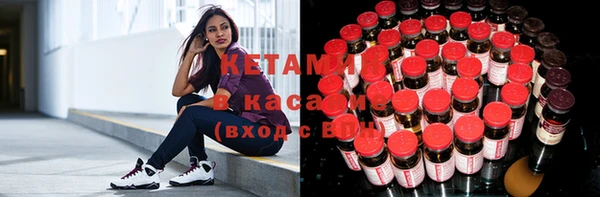 крисы Зерноград
