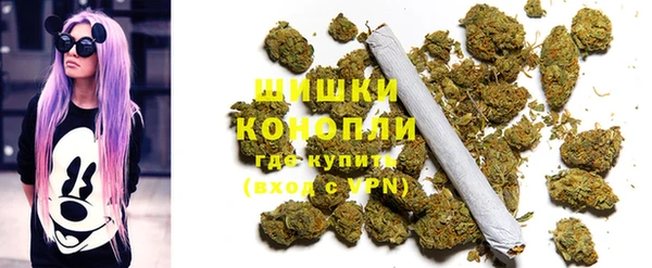 крисы Зерноград